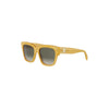 CL40253I